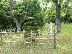 写真：助川城跡公園の見どころ6