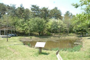 おむすび池の写真