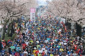 さくらロードレース ハーフの部スタート