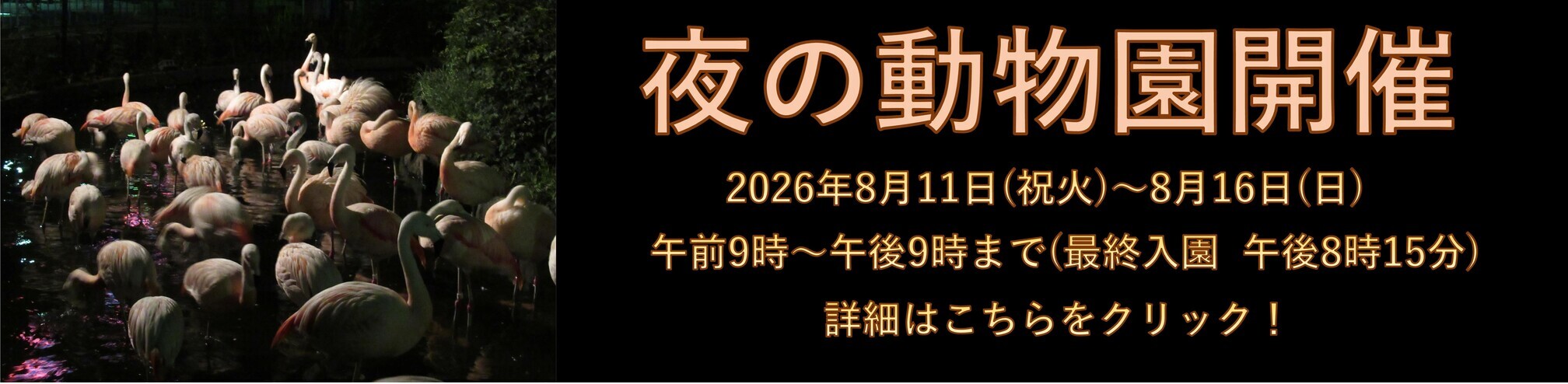 夜の動物園