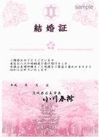 写真：常陸風流物を背景にした桜色の結婚証