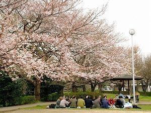 写真：桜川緑地