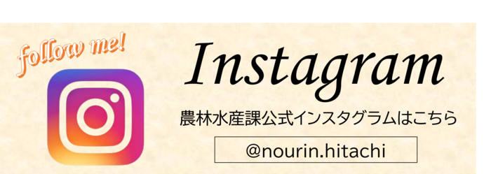 インスタグラムの案内バナー（外部リンク・新しいウィンドウで開きます）