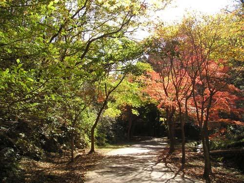 小木津山自然公園の写真