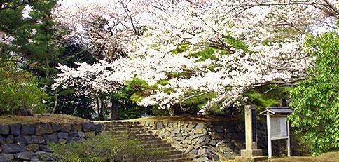 助川城跡公園の写真