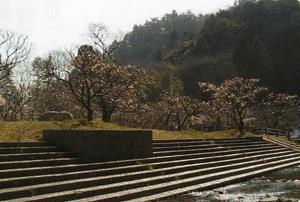 写真:施設4