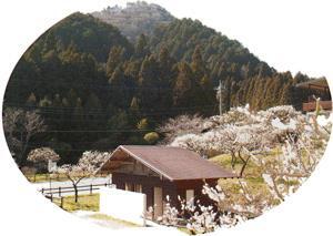 写真:施設5