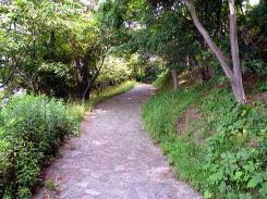 写真:南高野史跡公園の見どころ4