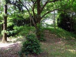 写真:南高野史跡公園の見どころ7