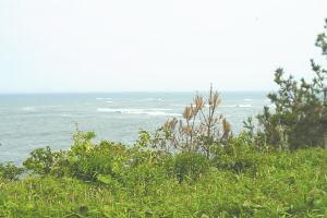 写真:古房地公園の見どころ1