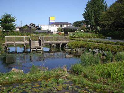 イトヨの里泉が森公園の写真