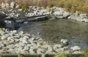 写真:水遊び場