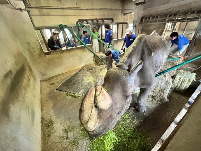 すりんぐべると