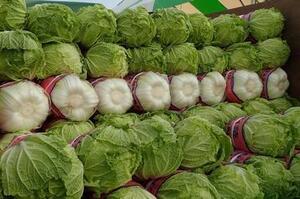 写真：産業祭野菜