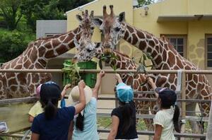 写真：かみね動物園3