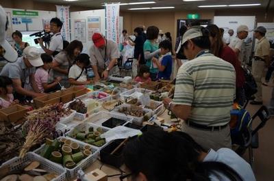 写真：エコフェス