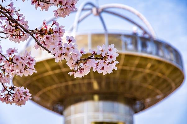 写真：十王パノラマ公園2