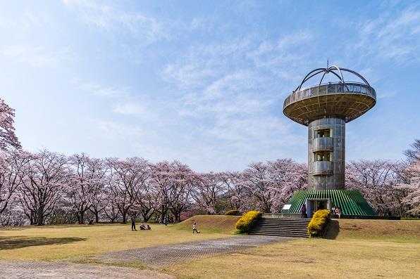 写真：十王パノラマ公園1