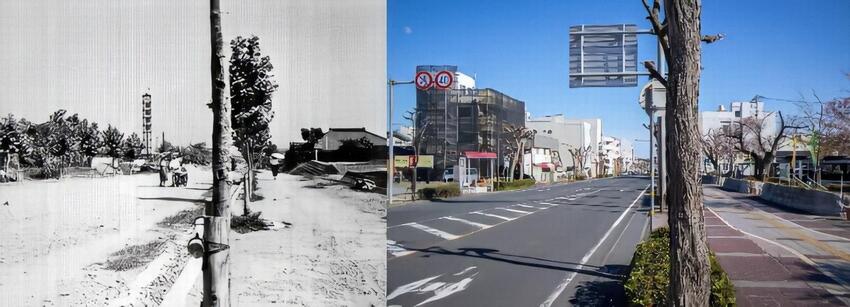 写真：よかっぺ通り