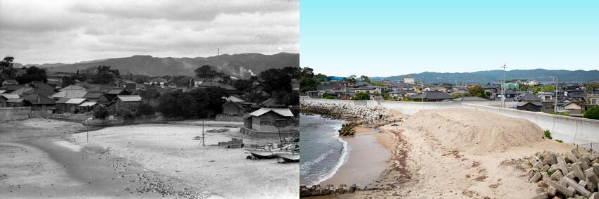 写真：田尻浜