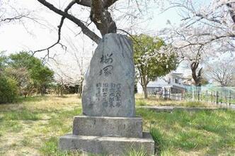 写真：桜塚