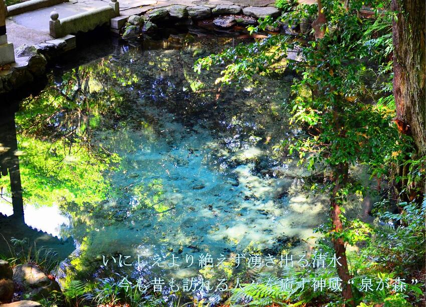 写真：泉が森1　いにしえより絶えず湧き出る清水　今も昔も訪れる人々を癒す神域”泉が森”