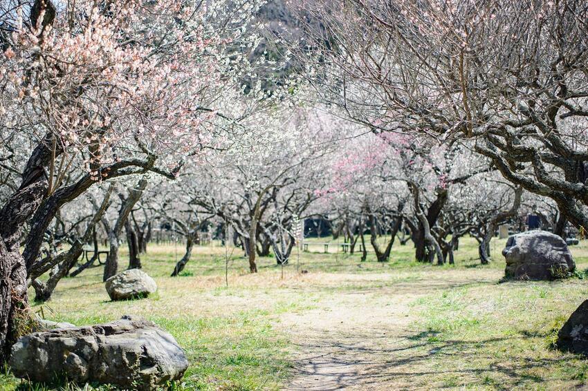 写真：諏訪の水穴3