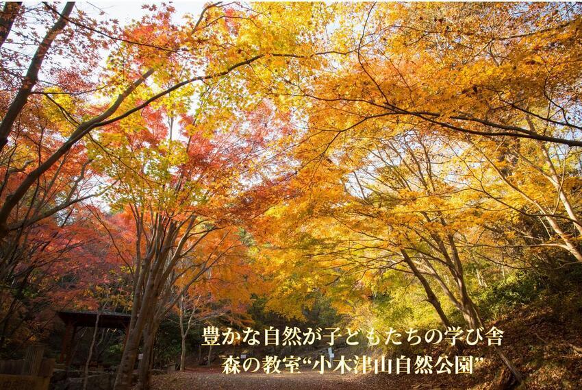 写真：小木津山1　豊かな自然が子どもたちの学び舎　森の教室“小木津山自然公園”