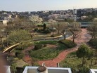 屋上公園写真