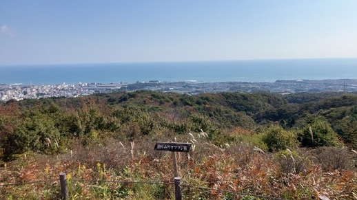 写真：ハイキング