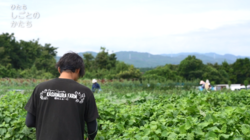 写真:作業の様子