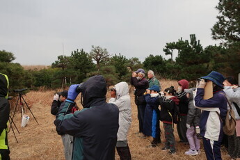 野鳥観察会の様子