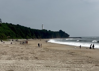 海岸の様子