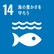 14　海の豊さを守ろう