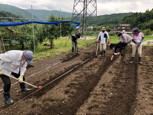 写真：田舎体験農園