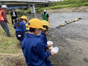 写真：ヤマメを放流する児童