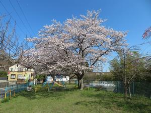 写真：どしまえ児童公園