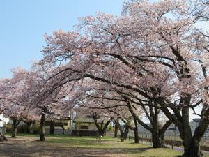 写真：しゅくひがし児童公園