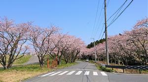 写真：十王川周辺（川尻町地内）