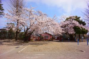 写真：宮田小学校