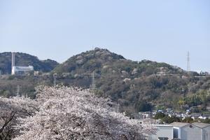 写真：鞍掛山