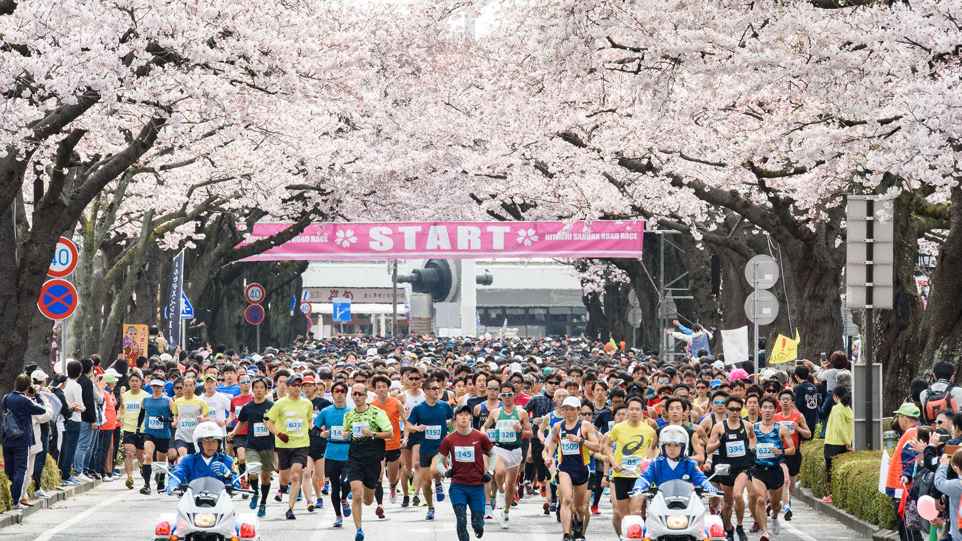 写真：日立さくらロードレースの様子