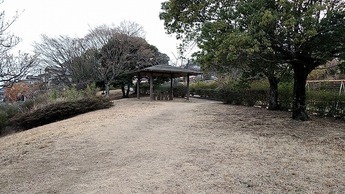 だいはら中央公園
