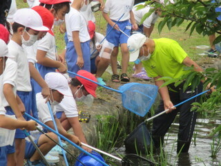 河川での清掃活動の写真