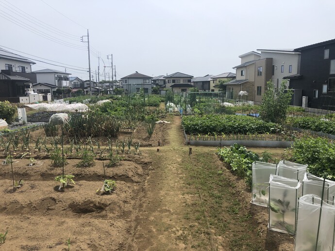 東大沼市民農園