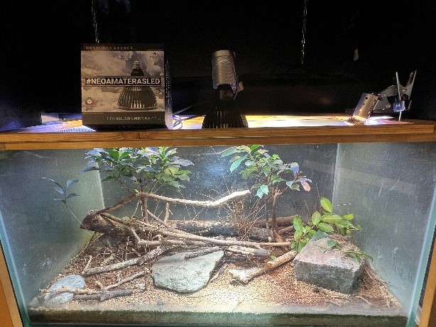 動植物用LEDライト