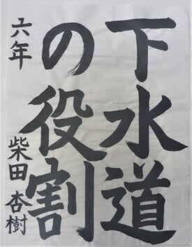 写真:柴田杏樹 さん作品