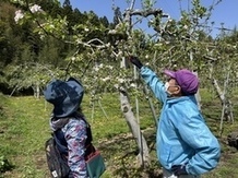 サポーターの活動写真