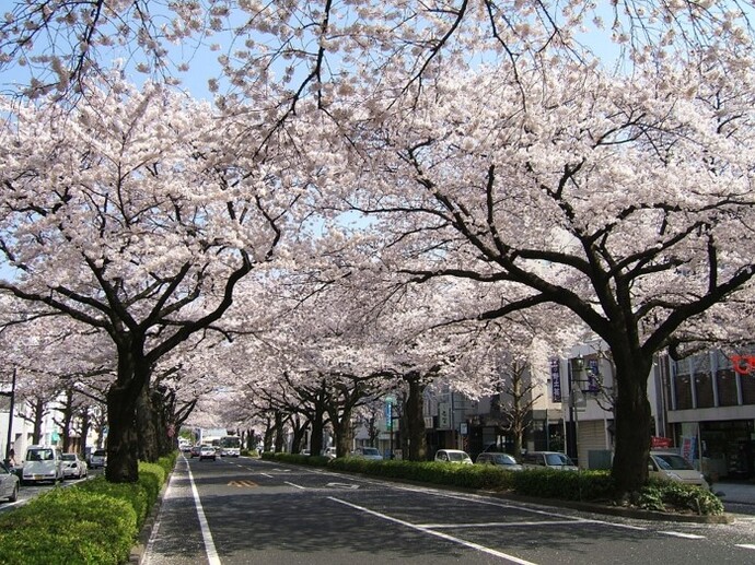 平和通り