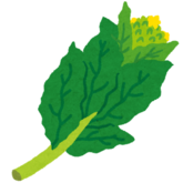 イラスト:菜の花